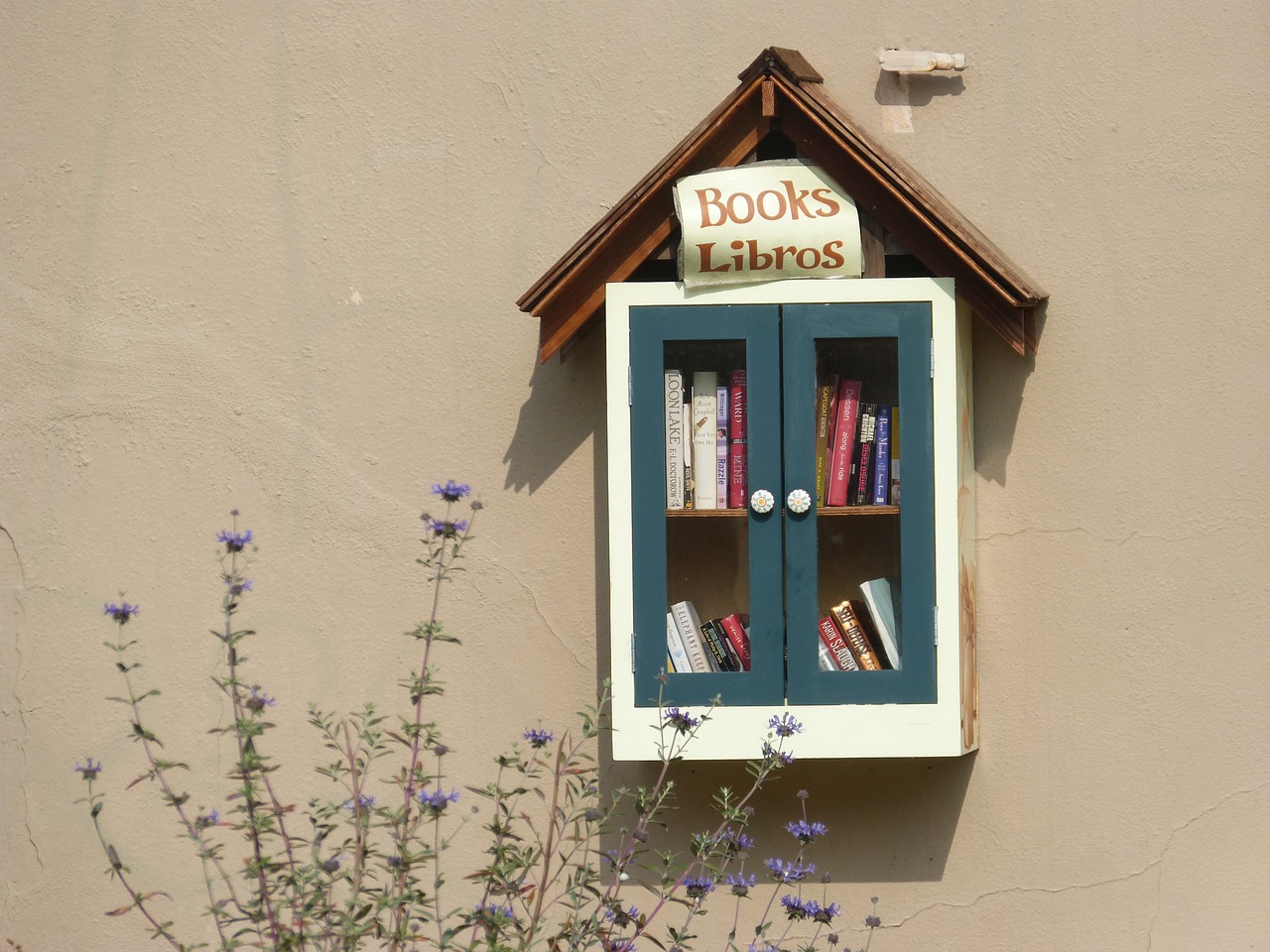 Little Free Libraries